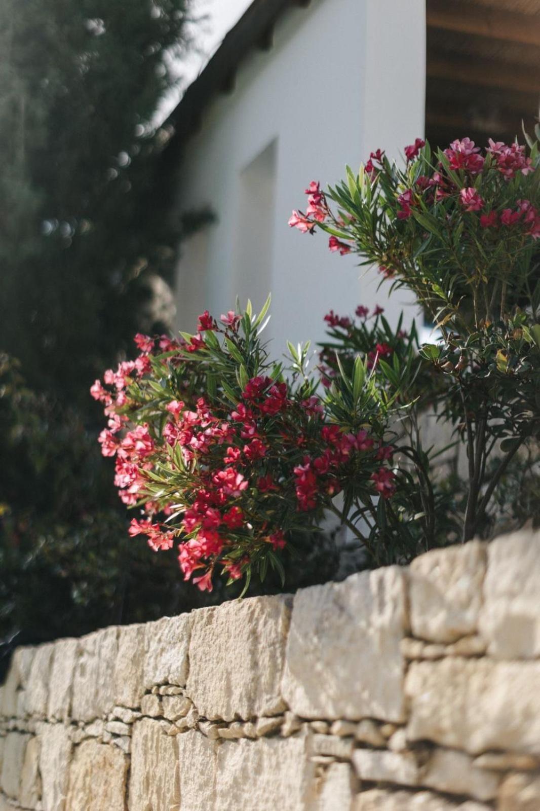 Gasthaus Cecilias Courtyard Malya Exterior foto